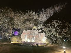 -扬州瘦西湖温泉