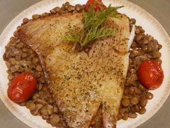 煎鳐鱼翅配东欧野扁豆-Kitchen·Y洋厨房西餐厅(王府壹号店)