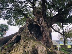 -新安江山水画廊风景区