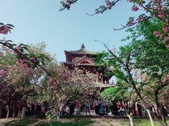 景点-西安青龙寺遗址景区
