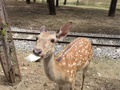 -秦皇岛野生动物园