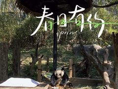 -广州长隆野生动物世界