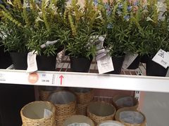 -宜家家居(哈尔滨商场店)