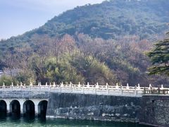 -金岛生态园烧烤露营地