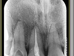 -浙江大学医学院附属口腔医院湖滨（延安）院区