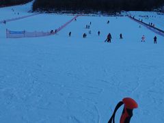 游乐设施-五家山森林公园滑雪场