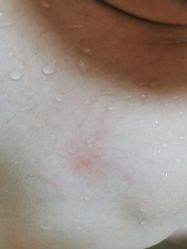 -莫莉幻想儿童乐园(绍兴金帝银泰城店)