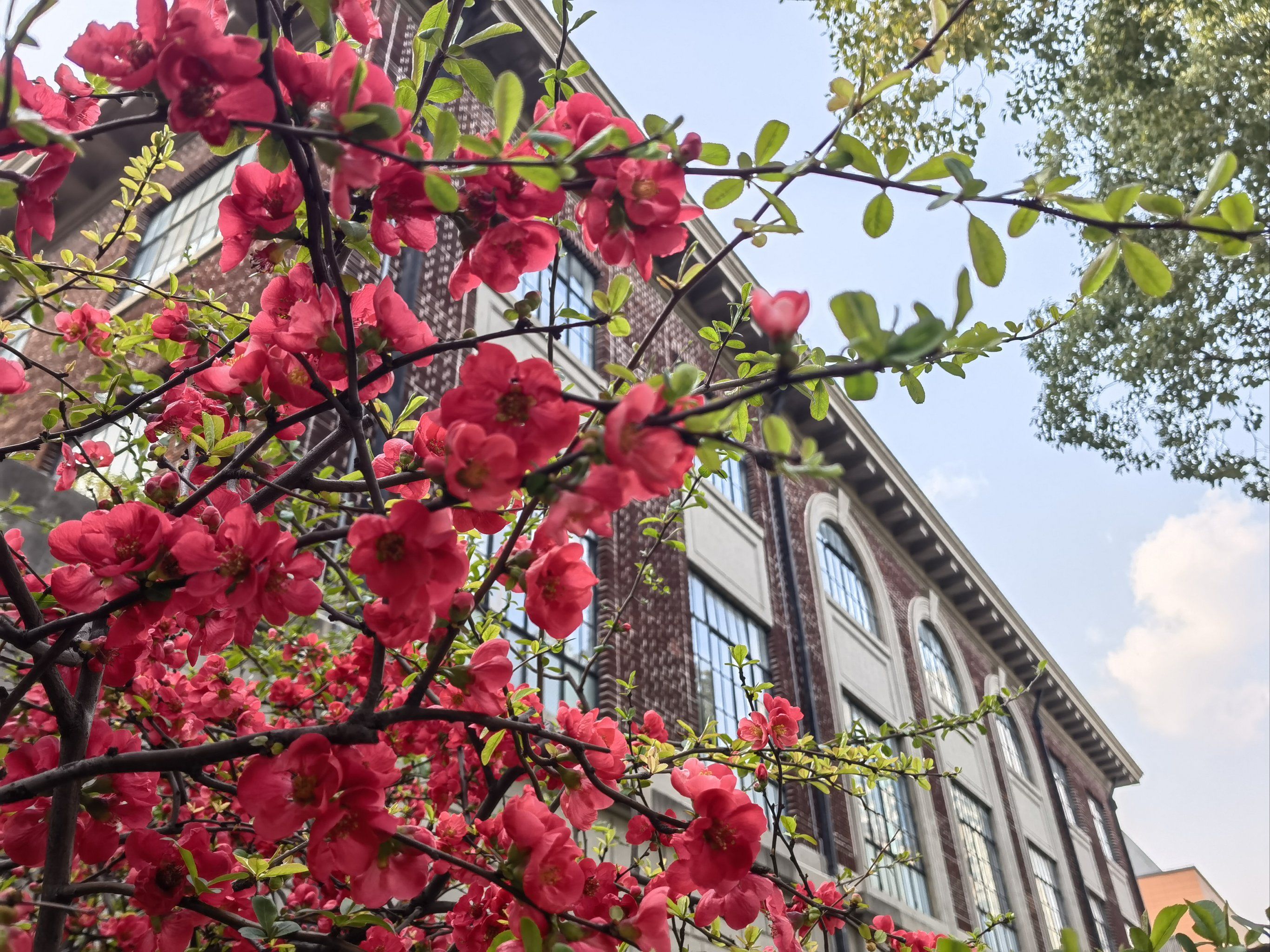 花校园 大众点评