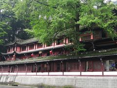 -青城甲(青城山店)