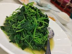 -齐家花园大酒店(宝山店)