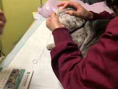 -派特宠物医院(圆融广场店)