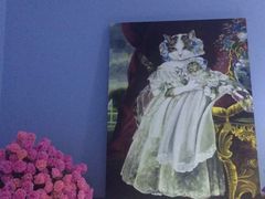 -喵的天空名猫咖啡馆·撸猫·猫舍·用品