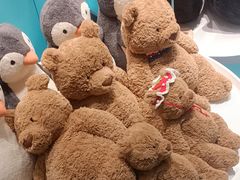 -JOYCODE(西单大悦城店)