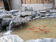 -驿舍·民國老营房院子私房菜(科学会堂店)