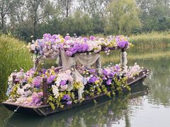 -溱湖国家湿地公园