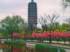 -西海子公园