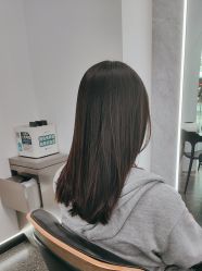 -YESIDO椰岛造型