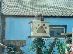 -青藏高原野生动物园