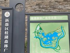 -桂湖森林公园