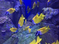 -成都浩海立方海洋公园