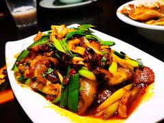 回锅肉-陈麻婆豆腐总店