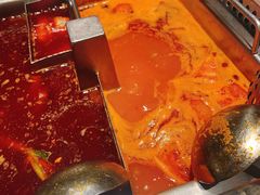 -海底捞火锅鲜切牛肉主题店(长寿路店)