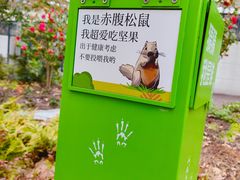 -和平公园