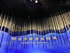 -鄂尔多斯博物馆