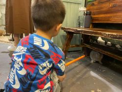 -Zoolung Zoolung动物主题公园(海信广场店)