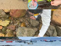-海驴岛(荣成市)