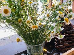 -饵块食光·云南有机手作饵块