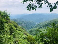 -牛背梁国家森林公园