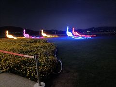 -光明小镇欢乐田园