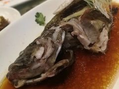 -骏莱海鲜鱼港(五角场店)