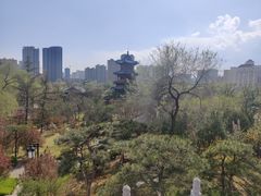 -迎泽公园