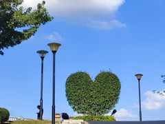 -东莞植物园
