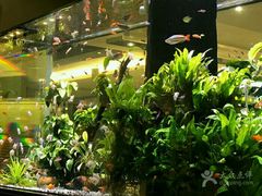 -大家乐(广州天河城六楼店)