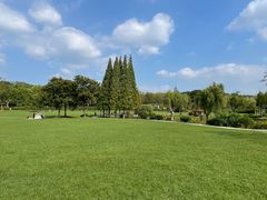 -宜兴龙背山森林公园
