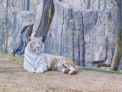 -北京野生动物园