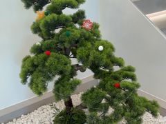 -金尘小铺·茶咖空间(古城店)