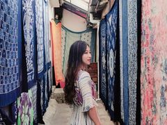 -璞真扎染博物馆