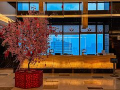 -上海龙之梦万丽酒店