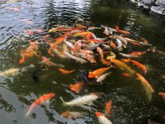 -珠海圆明新园