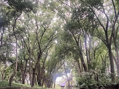 -上海方塔园