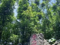 -东莞市大岭山森林公园