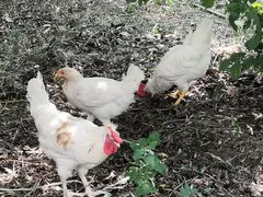 -长春公园(普阳街道)