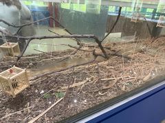 -上海昆虫博物馆