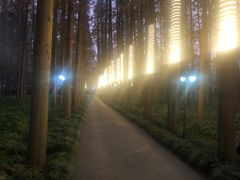 -上海怡沁园度假酒店