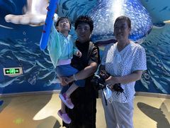 -烟台海昌鲸鲨海洋公园