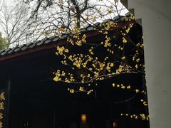 -白鹿洞书院